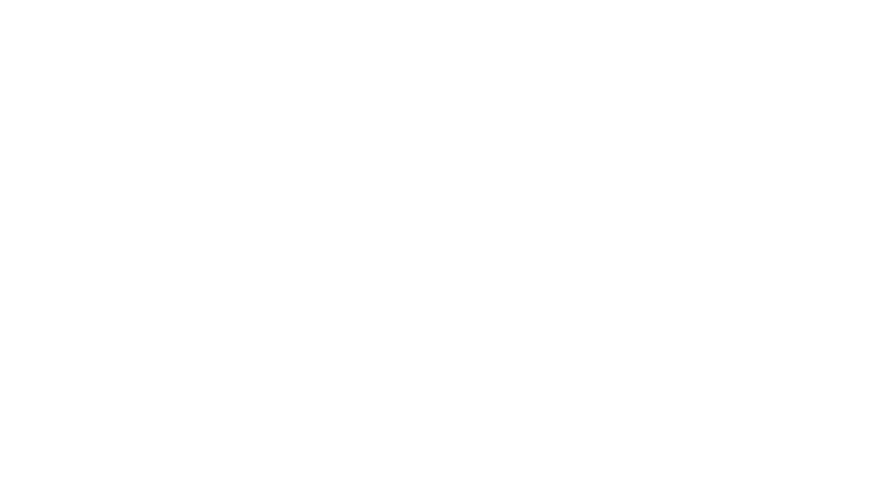 Synergy Partners Consultancy